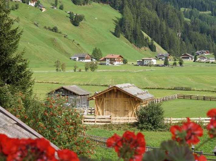 Hotel Alpenrast - Vista