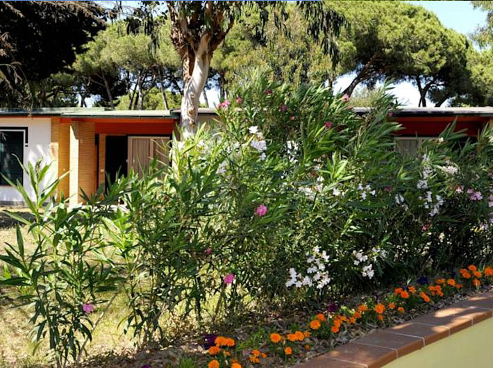 Residence Italy Village - La Serra - Garden
