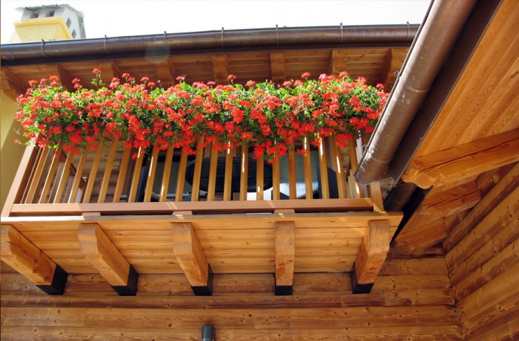 Hotel Locanda Bellevue - fiori
