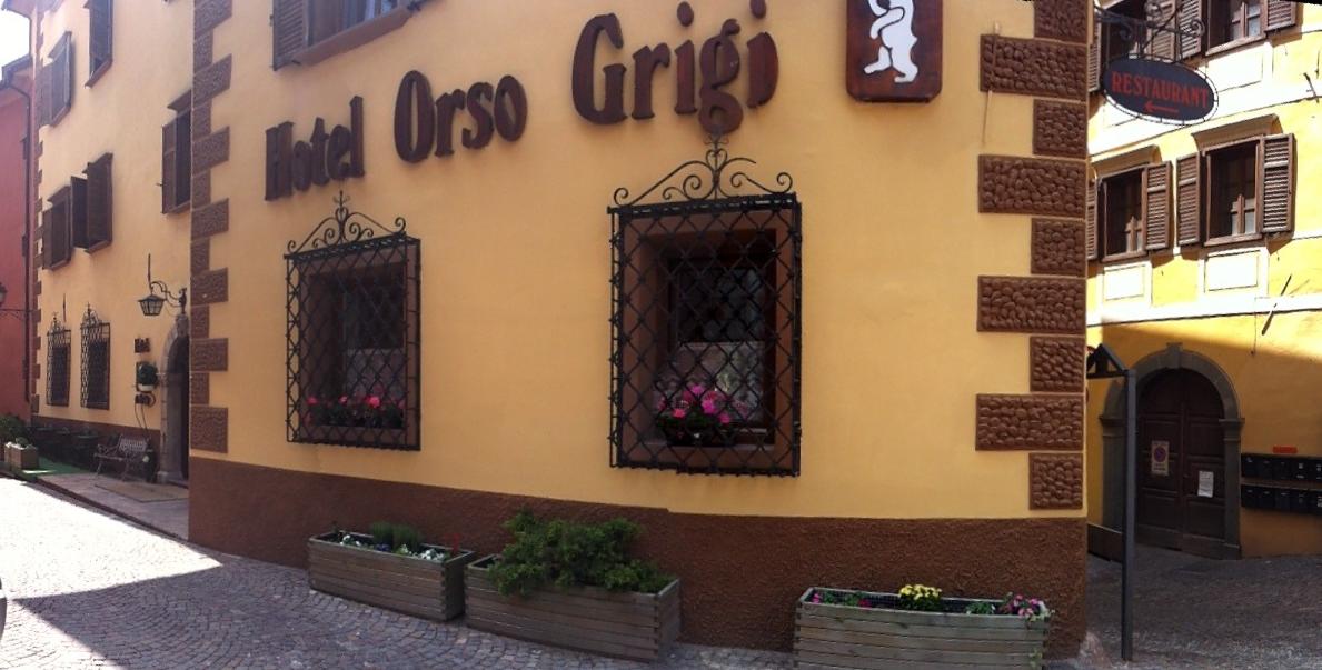 Hotel Orso Grigio - Cavalese