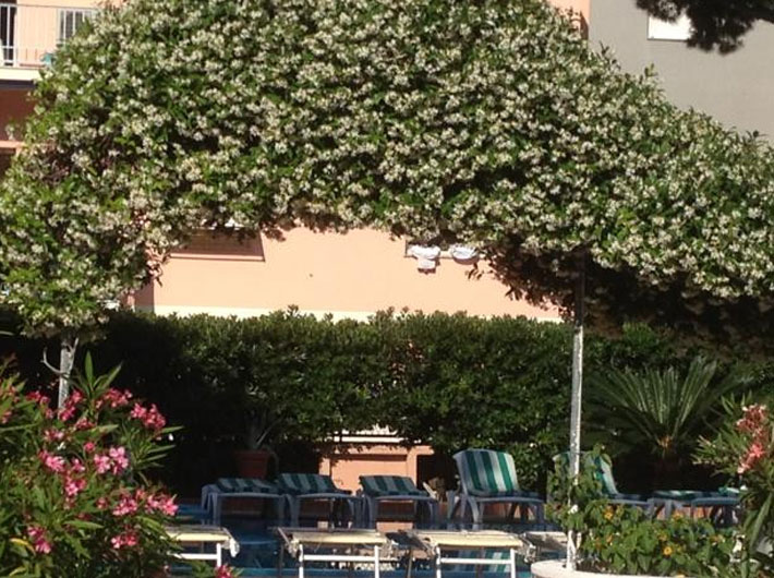 Hotel San Michele - Garden