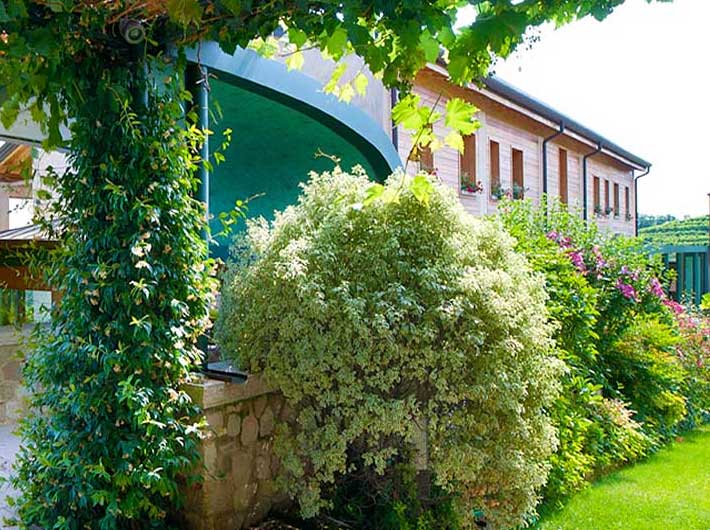 Agriturismo vedova - Valdobbiadene